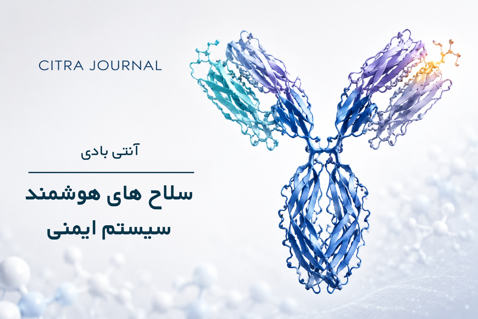 آنتی بادی