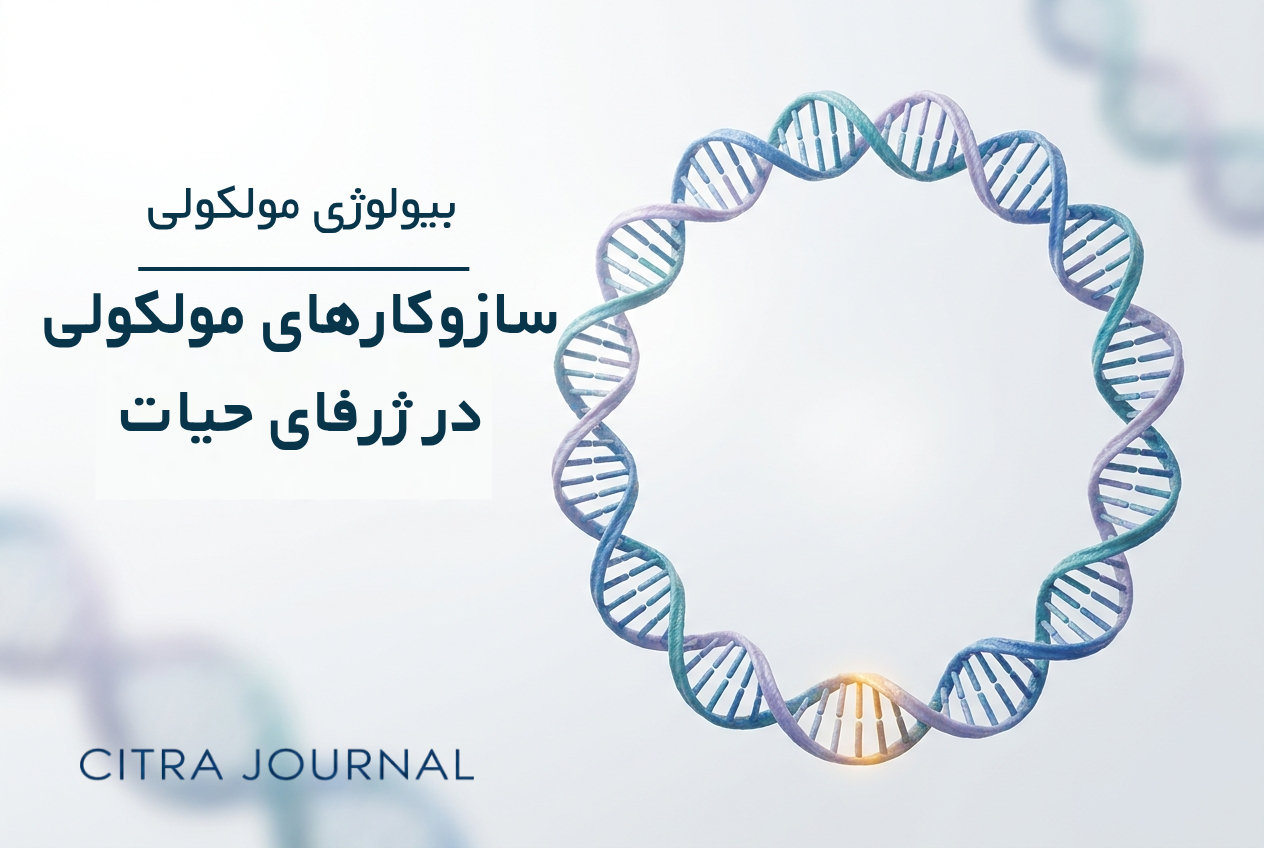بیولوژی مولکولی