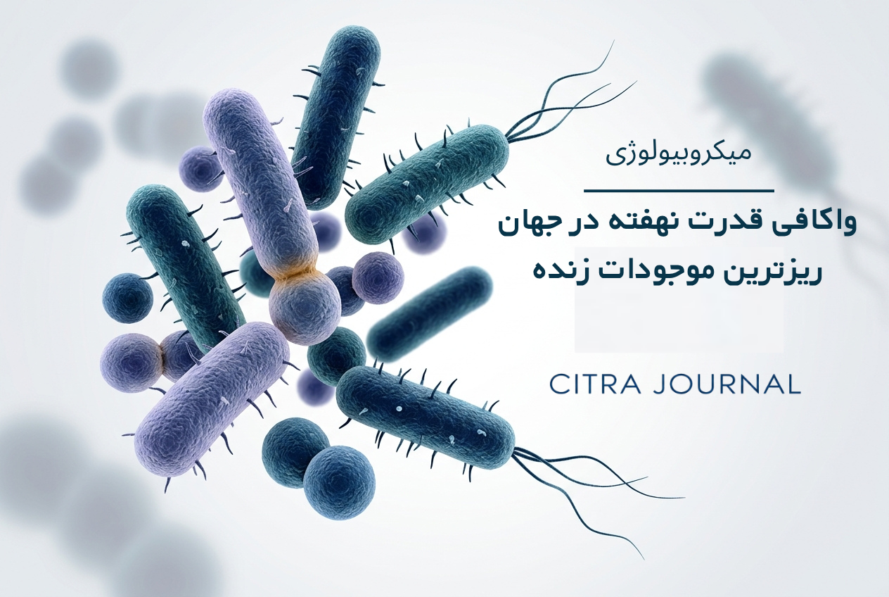 میکروبیولوژی