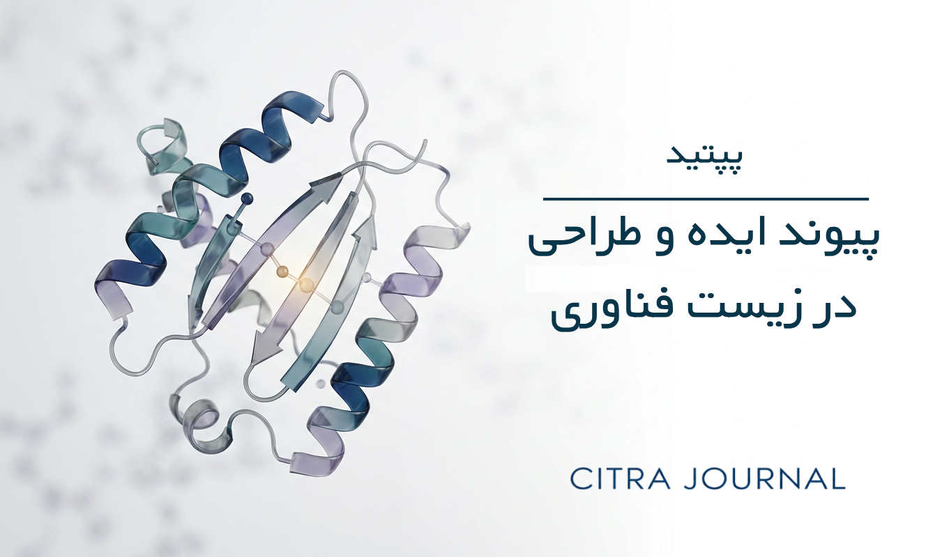 پپتید