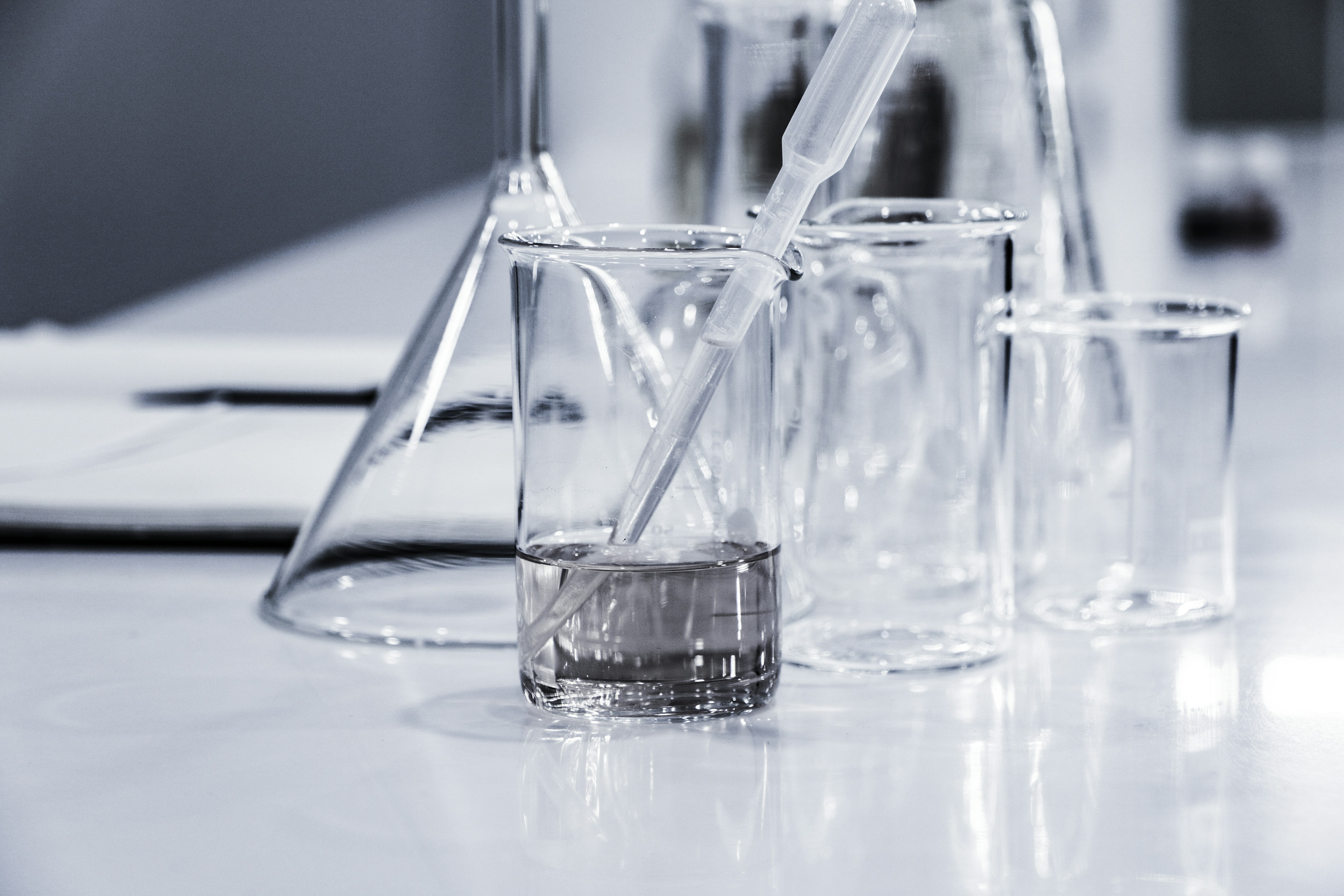 Dissolution Test Service