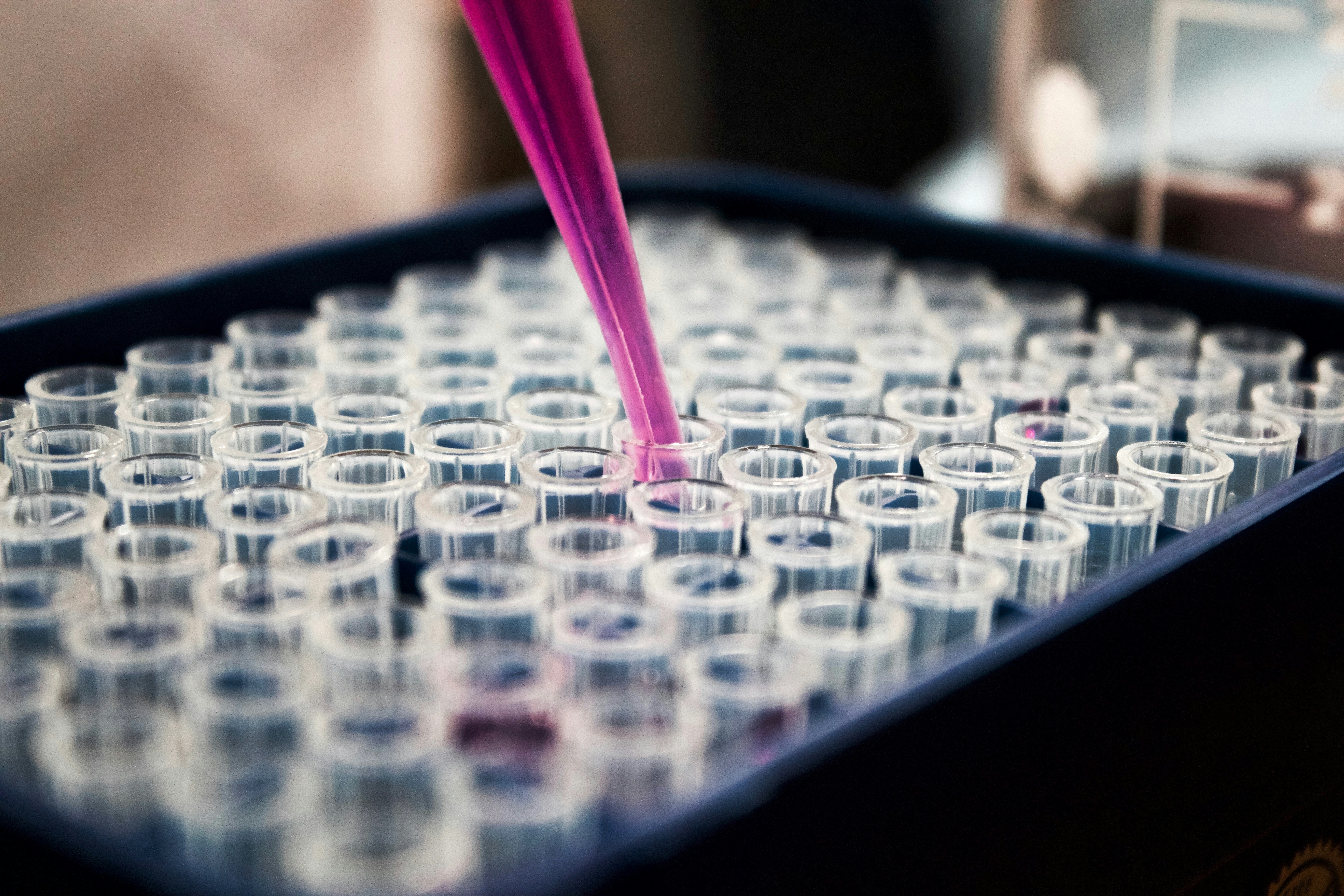 Endotoxin Testing Service
